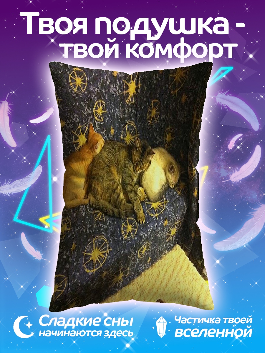 Подушка Два кота спят