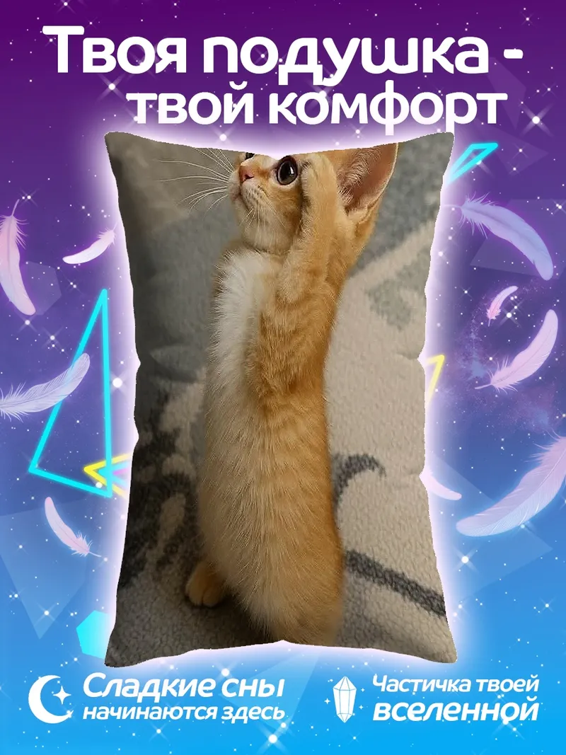 Подушка Рыжий котенок смотрит вверх