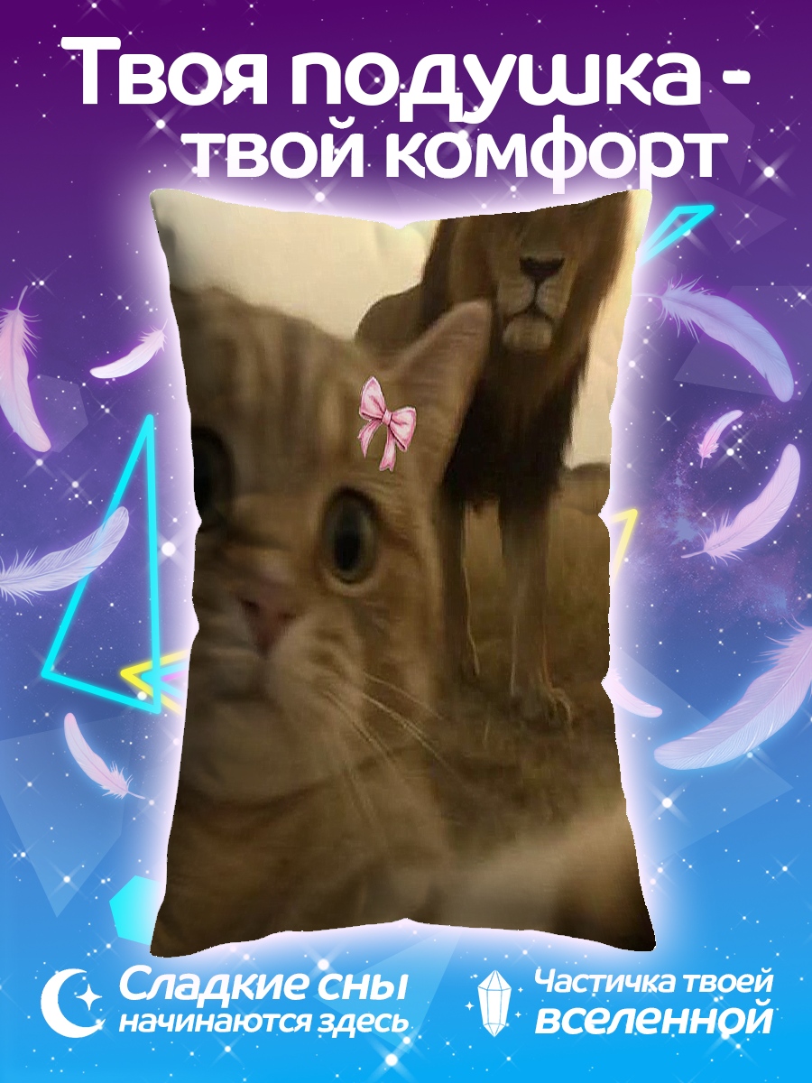 Подушка Кот и лев