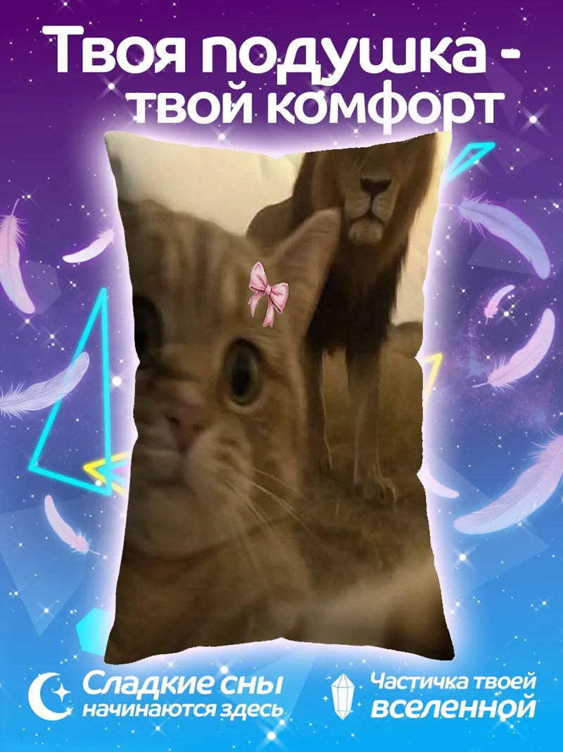 Подушка Кот и лев