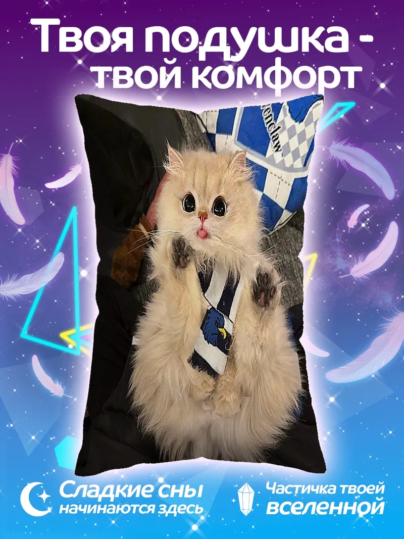 Подушка Пушистый кот в костюме
