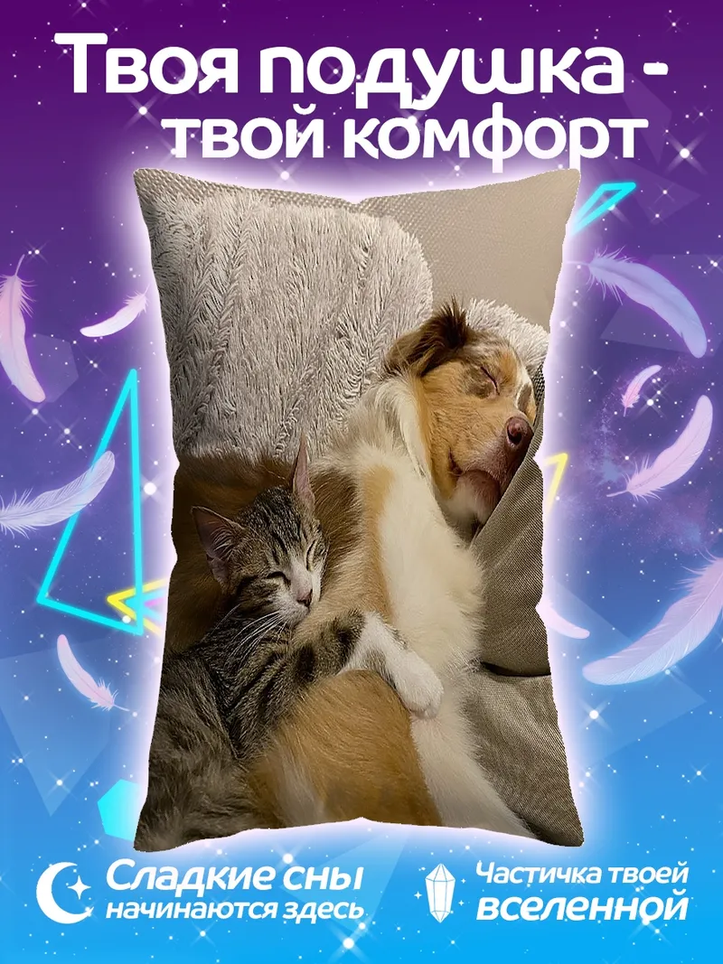 Подушка Кот и собака спят