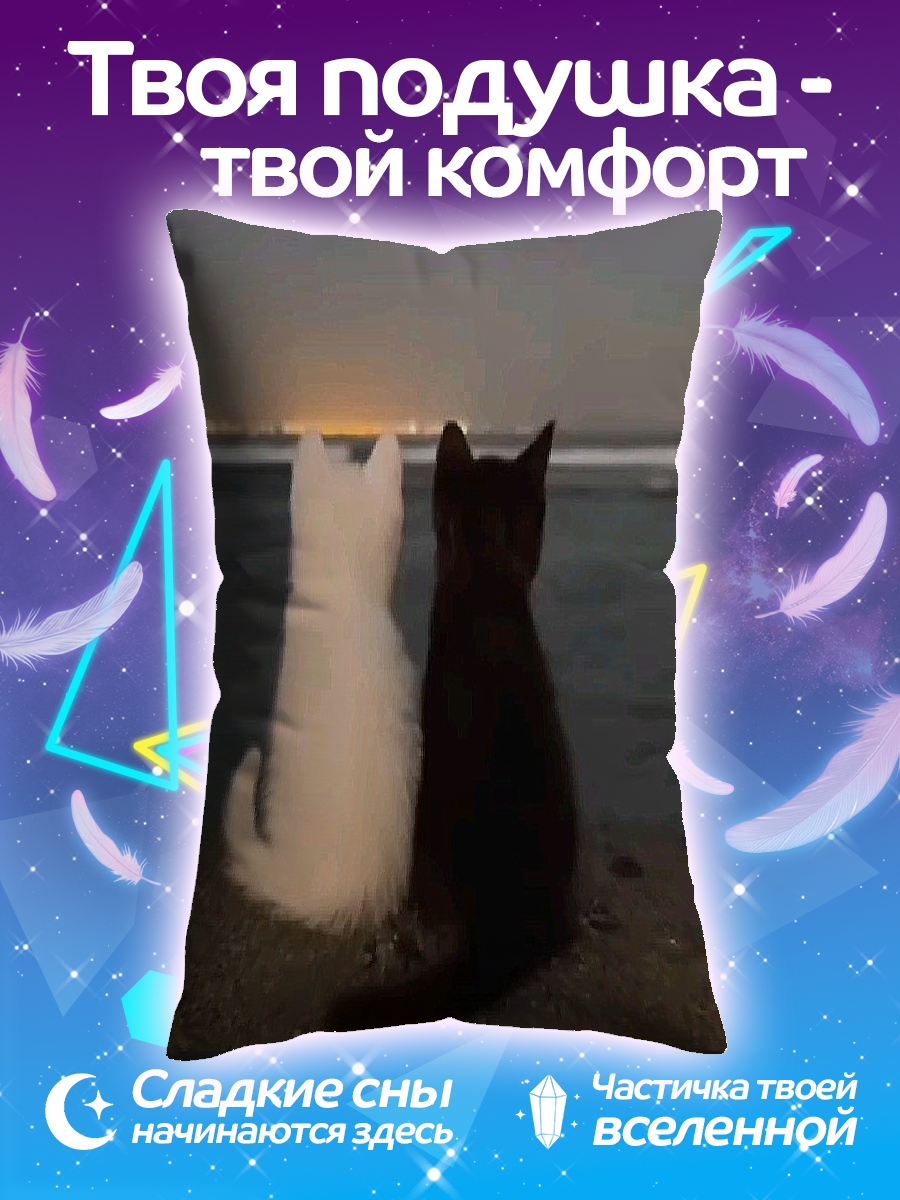 Подушка Два кота ночь