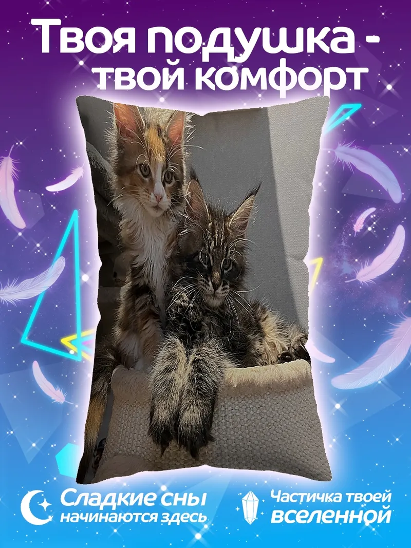 Подушка Два котенка Мейн-кун