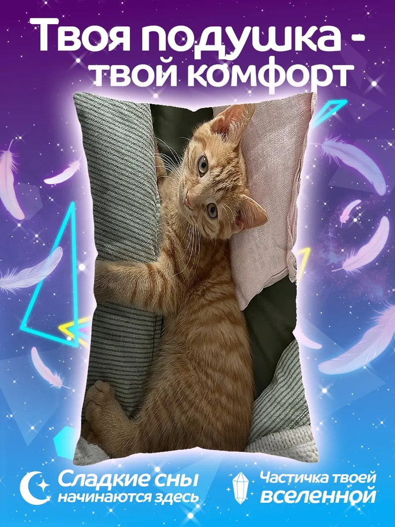 Подушка Рыжий кот подушки