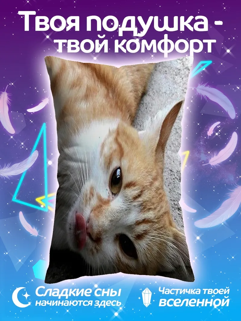 Подушка Рыжий кот лежит