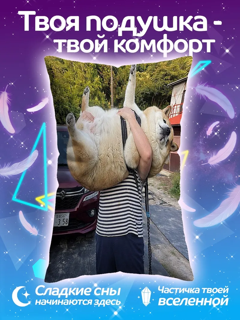Подушка человек держит собаку
