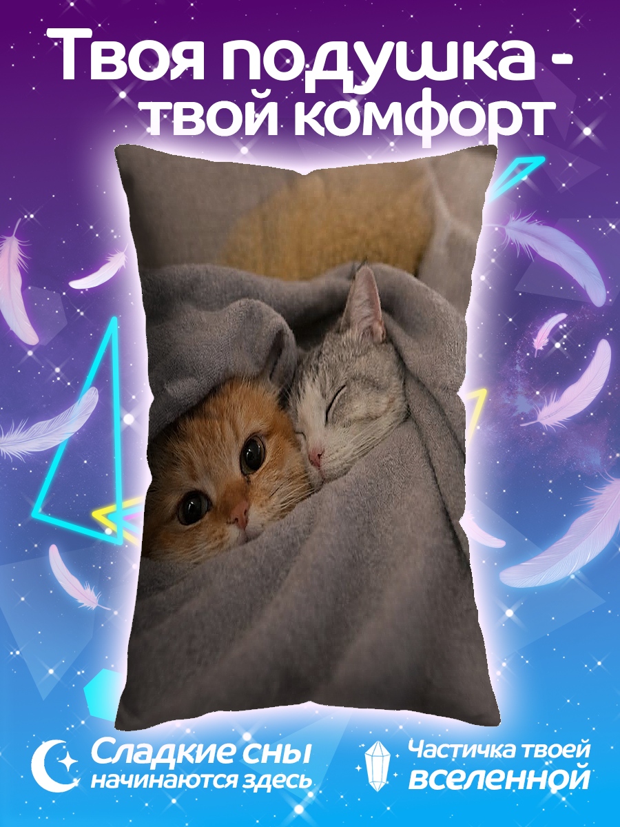 Подушка Два котенка в пледе