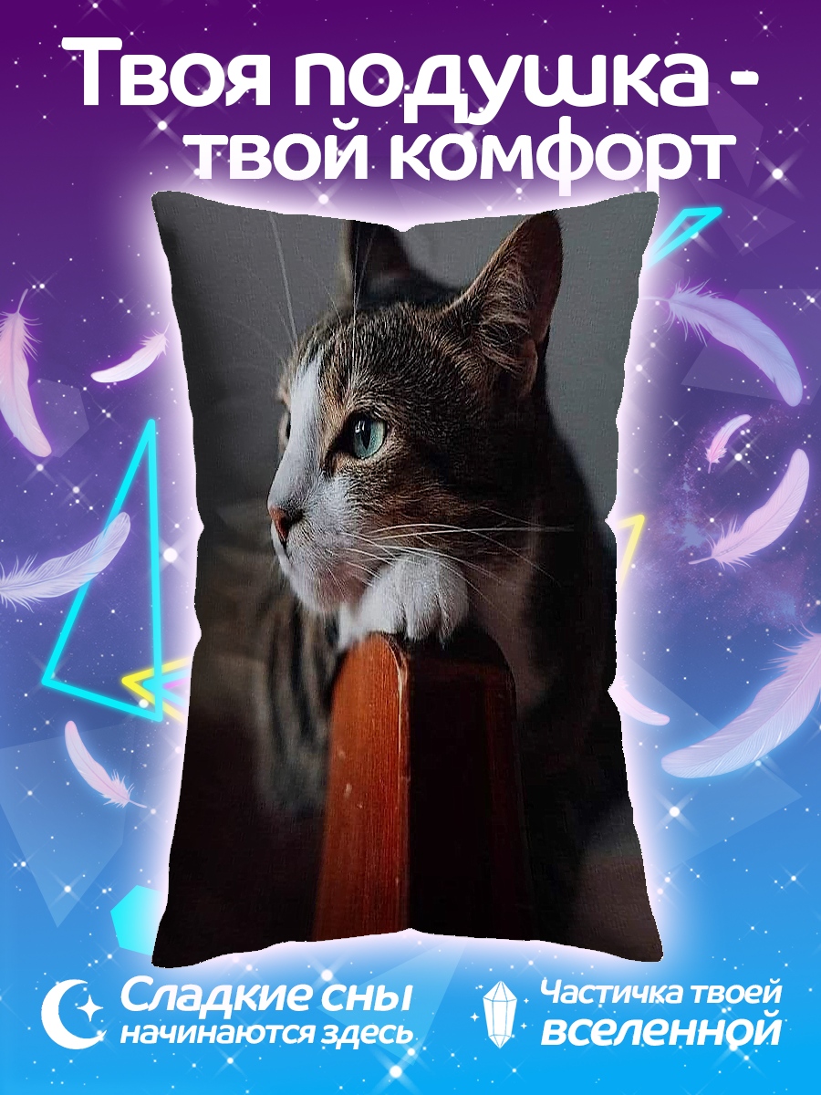 Подушка Кот смотрит вдаль