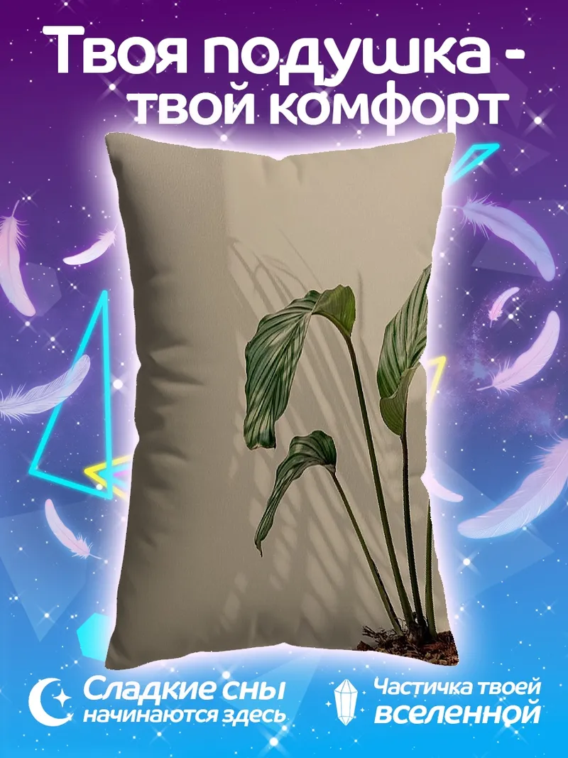 Подушка Комнатное растение в тени