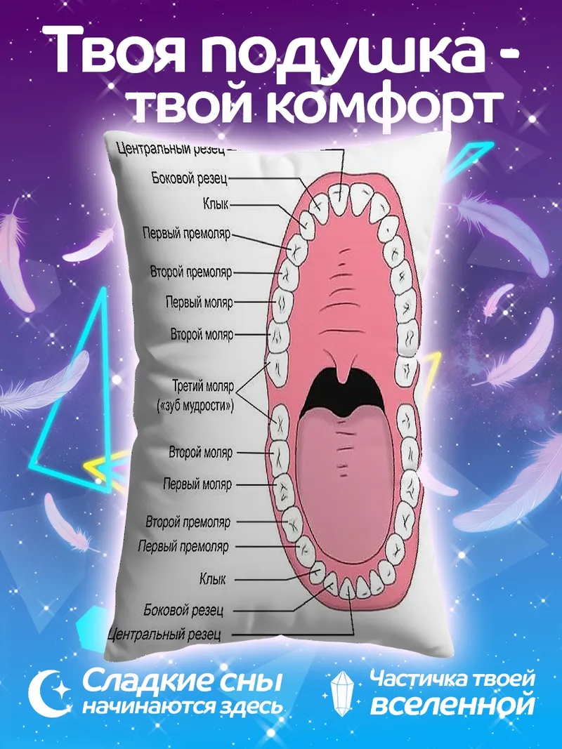 Подушка Анатомия человеческих зубов