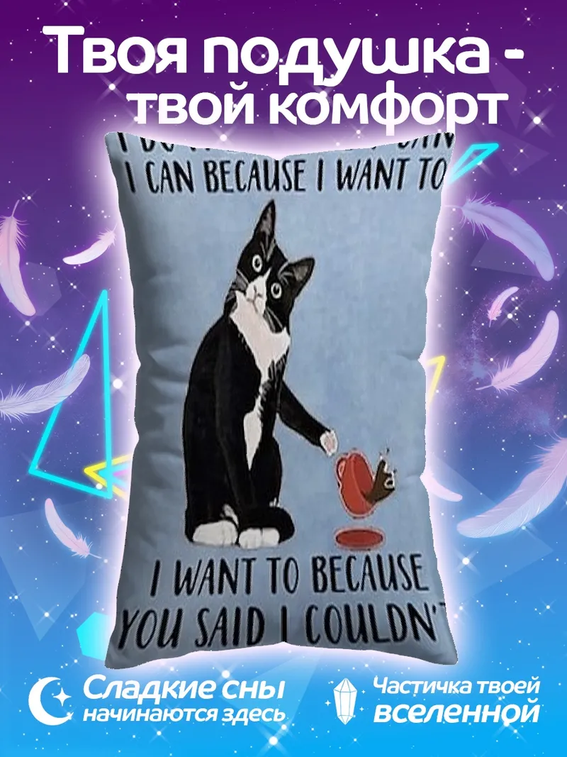Подушка Кот против правил