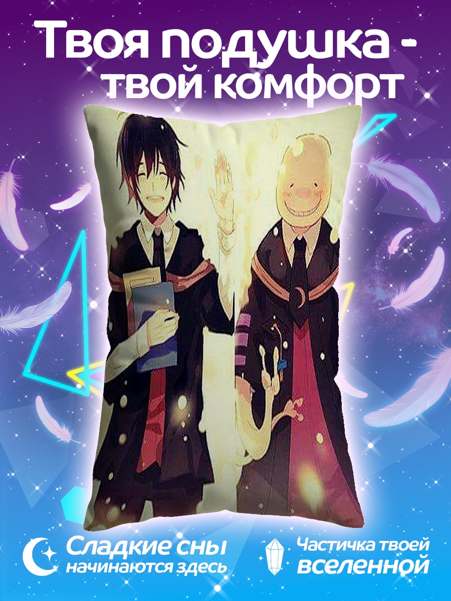 Подушка Учитель и ученик