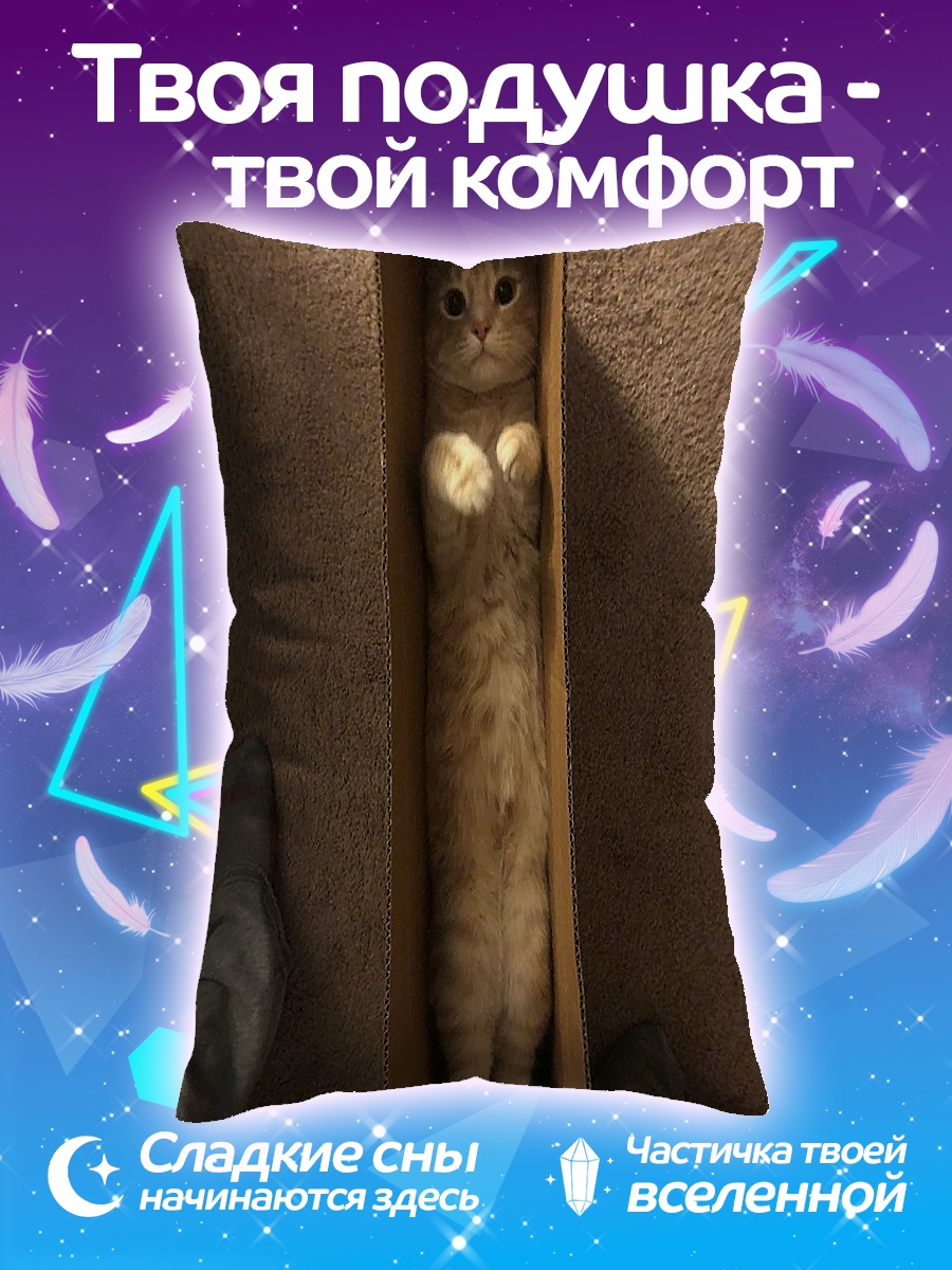 Подушка Кот в коробке