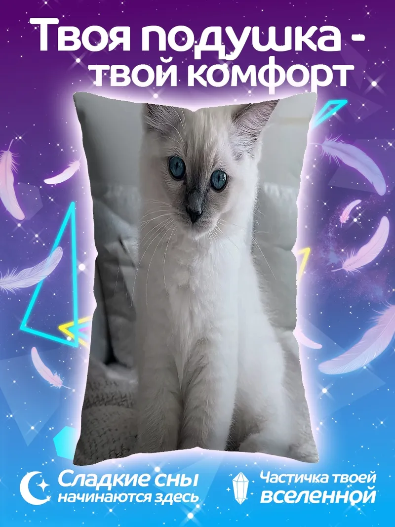 Подушка Белый котенок с голубыми глазами