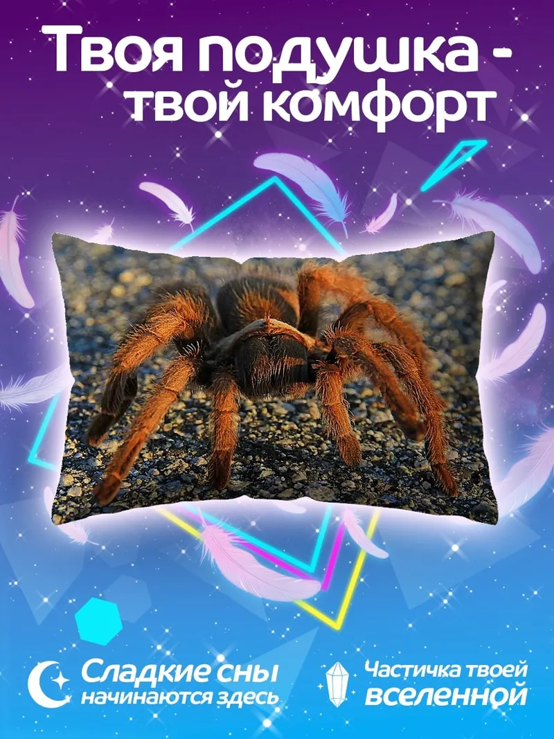 Подушка Паук тарантул на земле