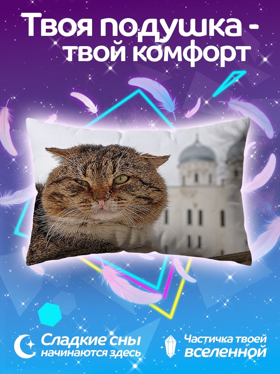 Подушка Кот у собора