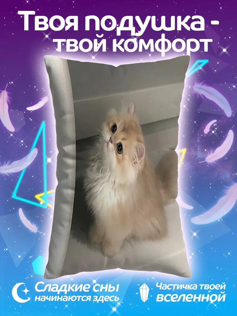 Подушка Пушистый котенок смотрит вверх