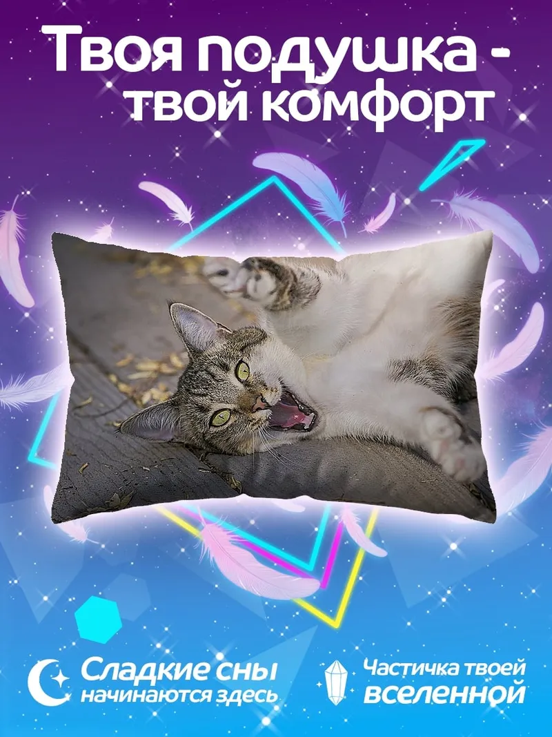 Подушка Кот лежит на досках
