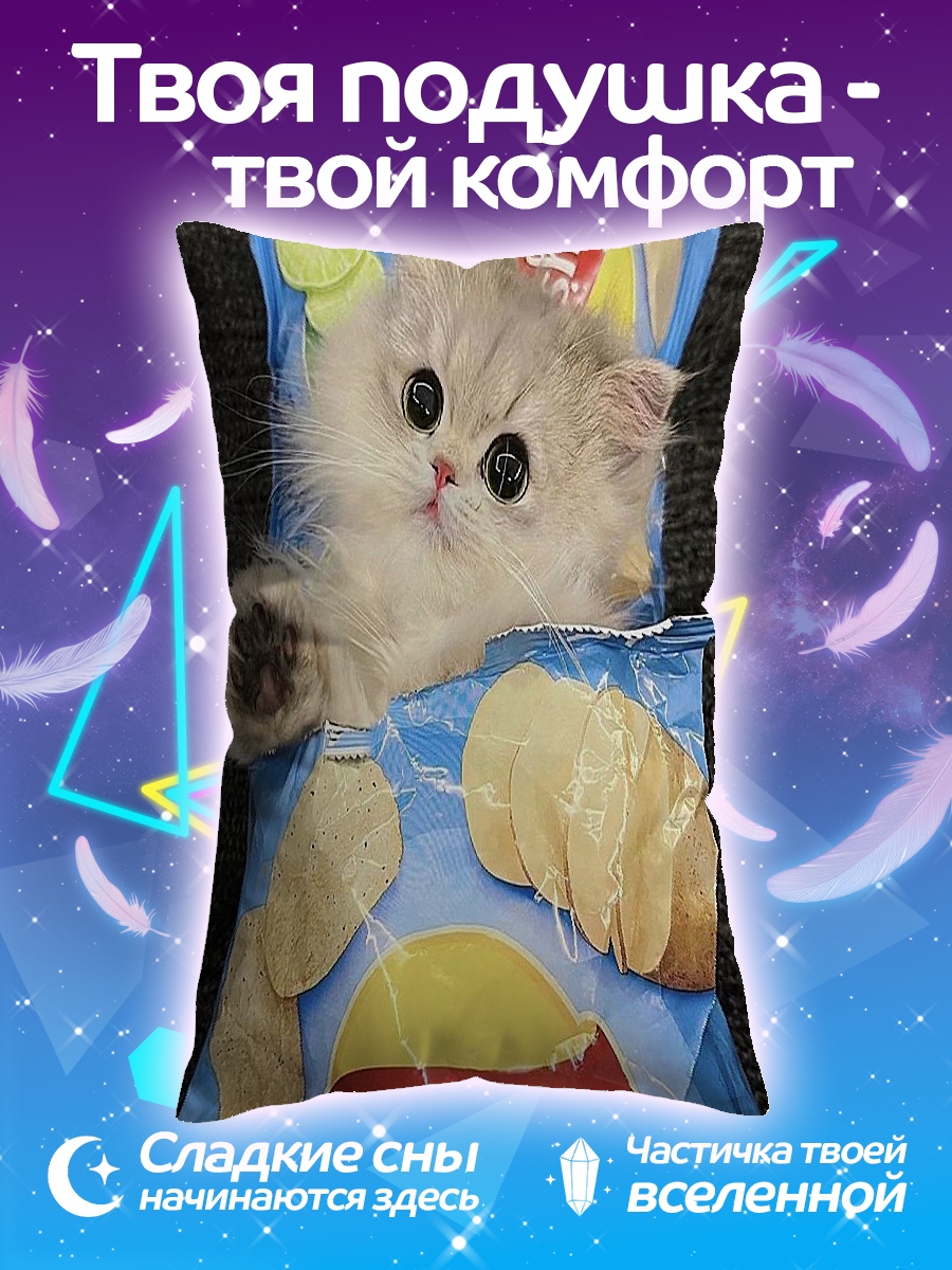 Подушка Кот в чипсах