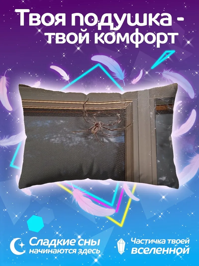 Подушка паук на окне