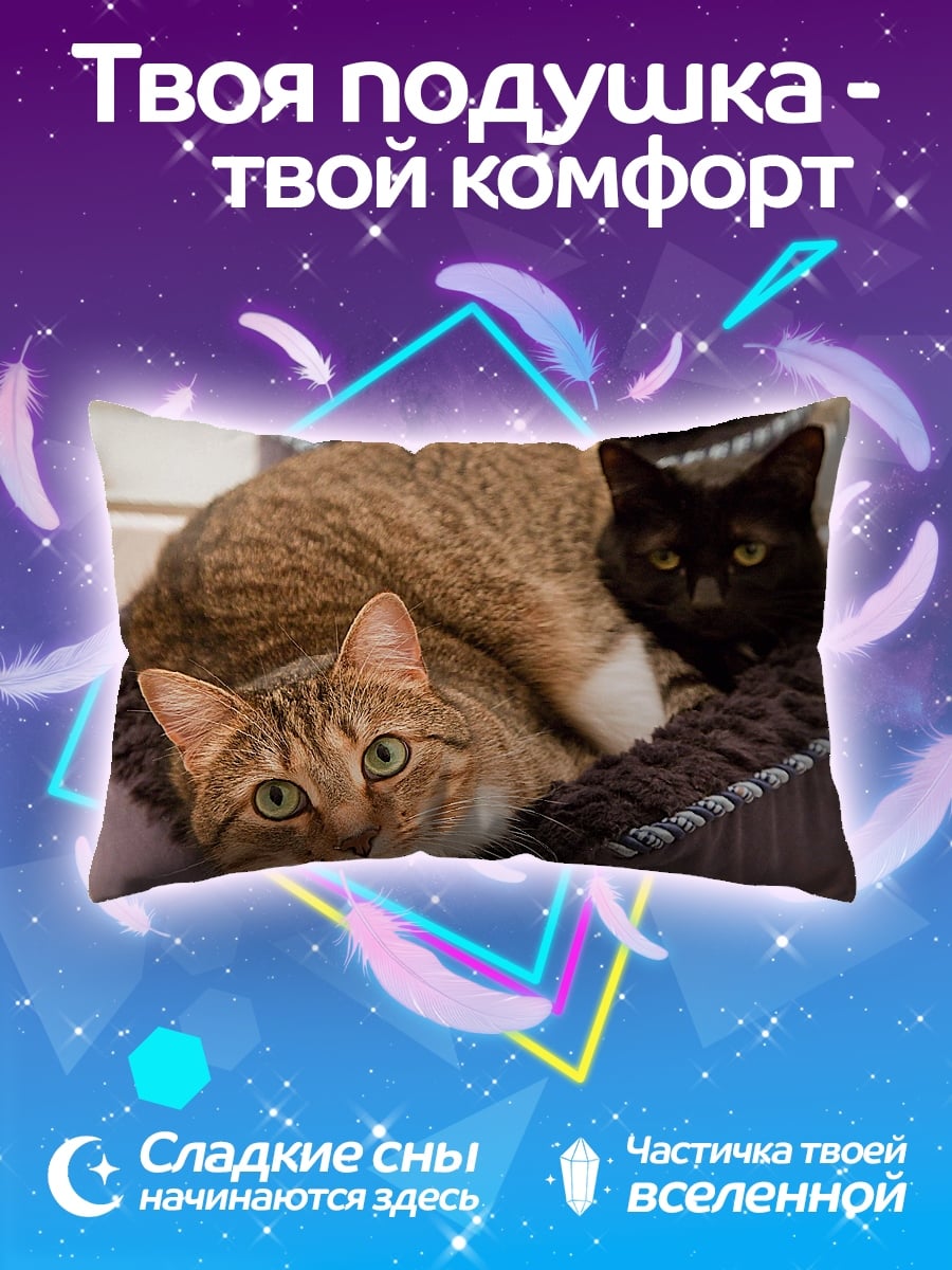 Подушка два кота лежанка