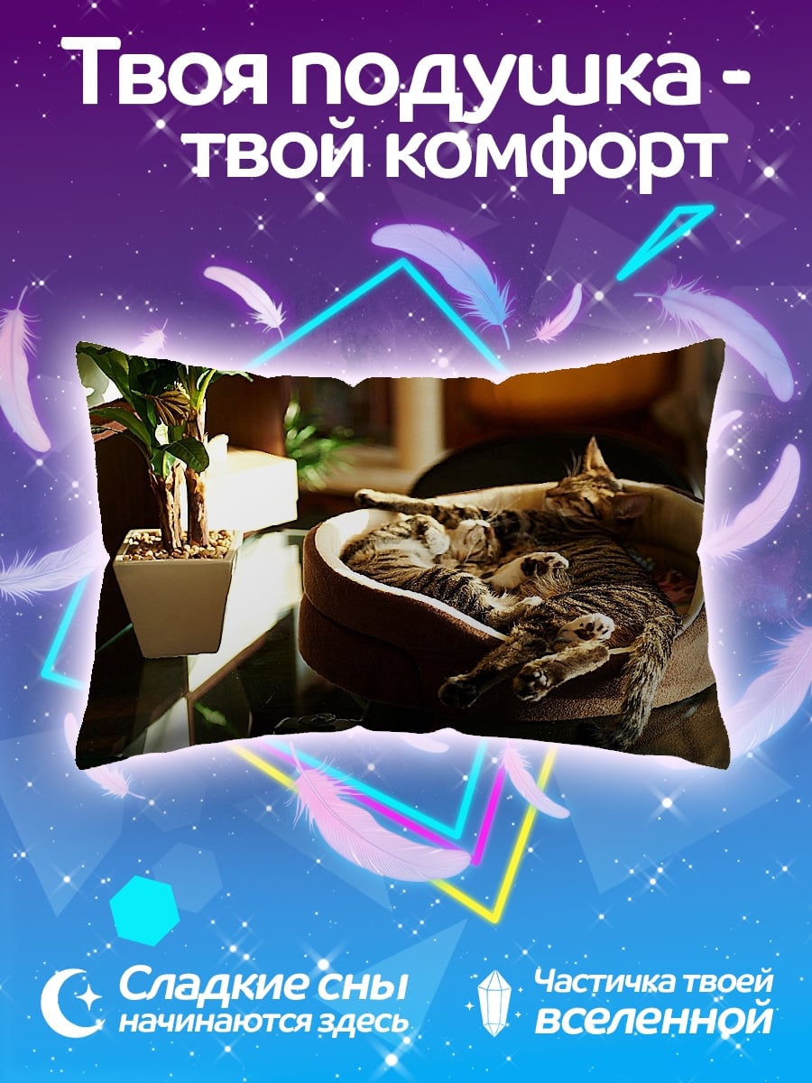 Подушка Два спящих котенка