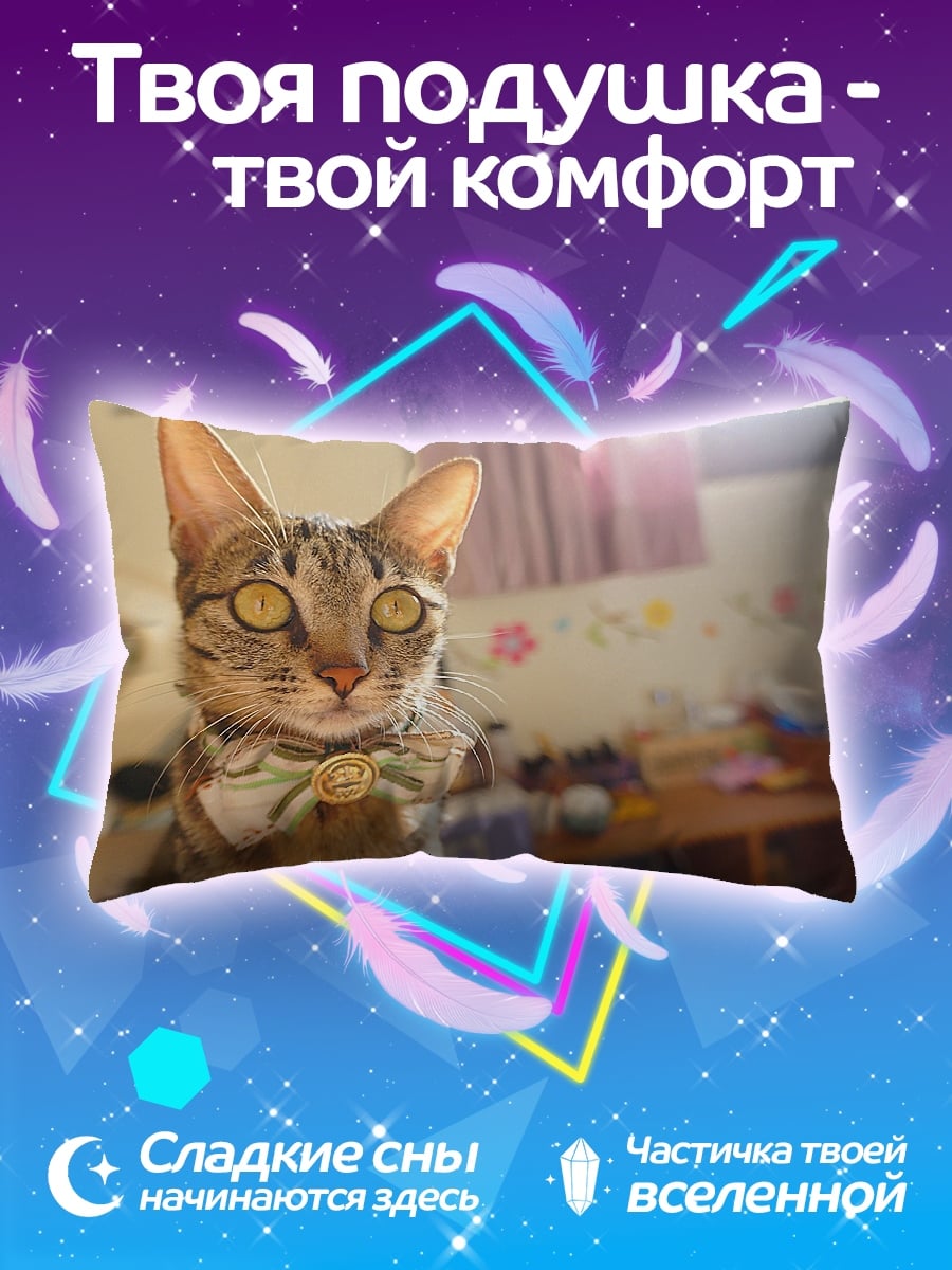 Подушка кот с бабочкой