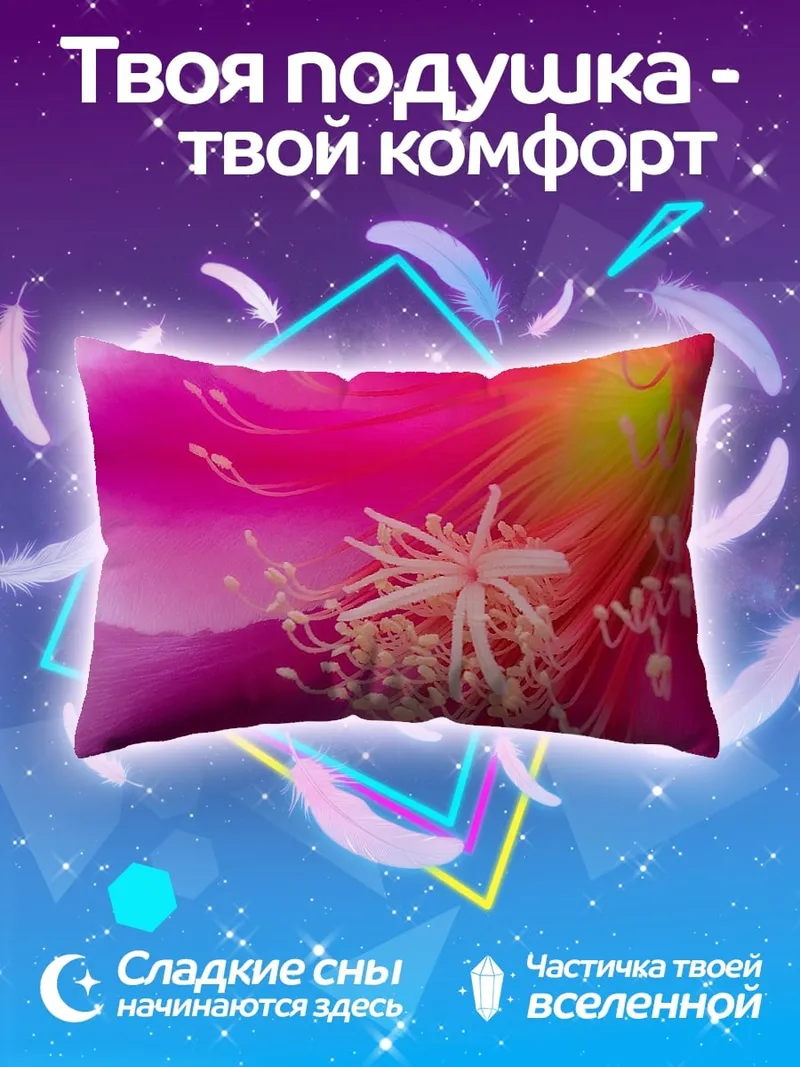 Подушка Яркий цветок кактуса