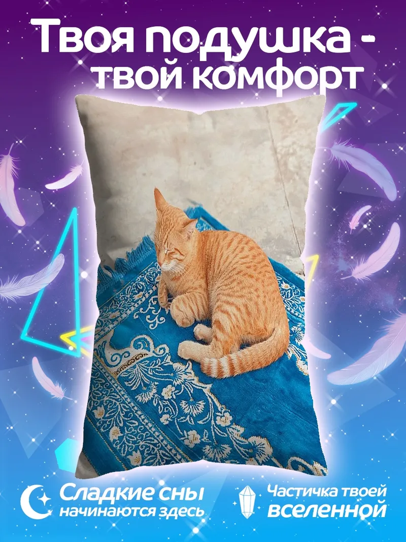 Подушка Рыжий кот на ковре
