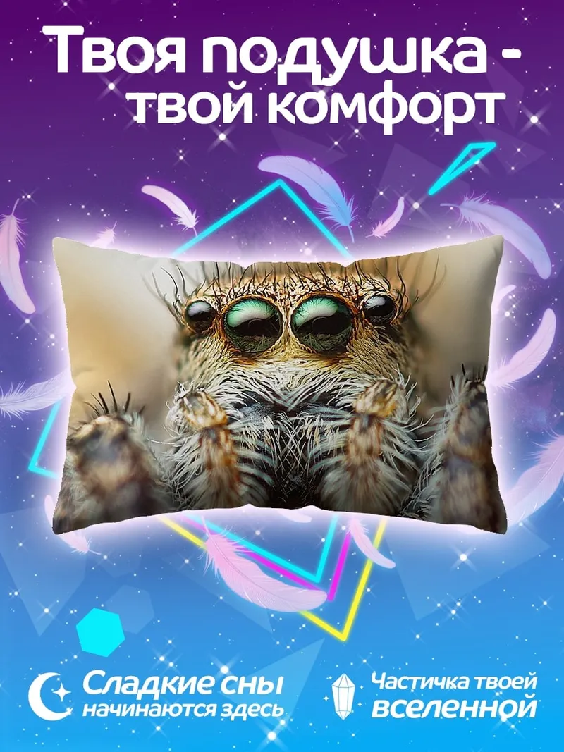Подушка Паук-скакун крупным планом