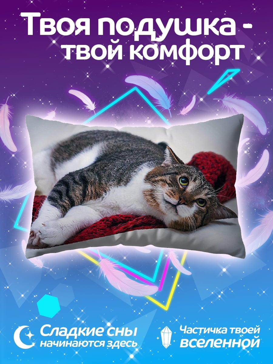 Подушка Ленивый кот