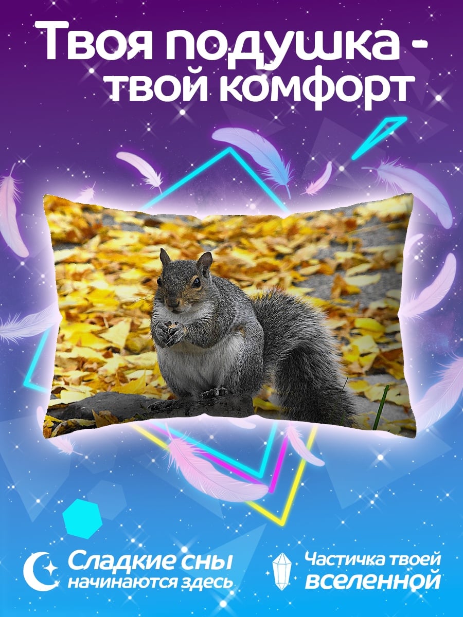 Подушка белка осенью