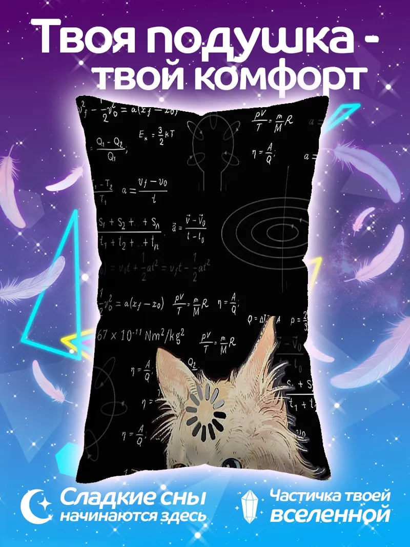 Подушка Кот и формулы