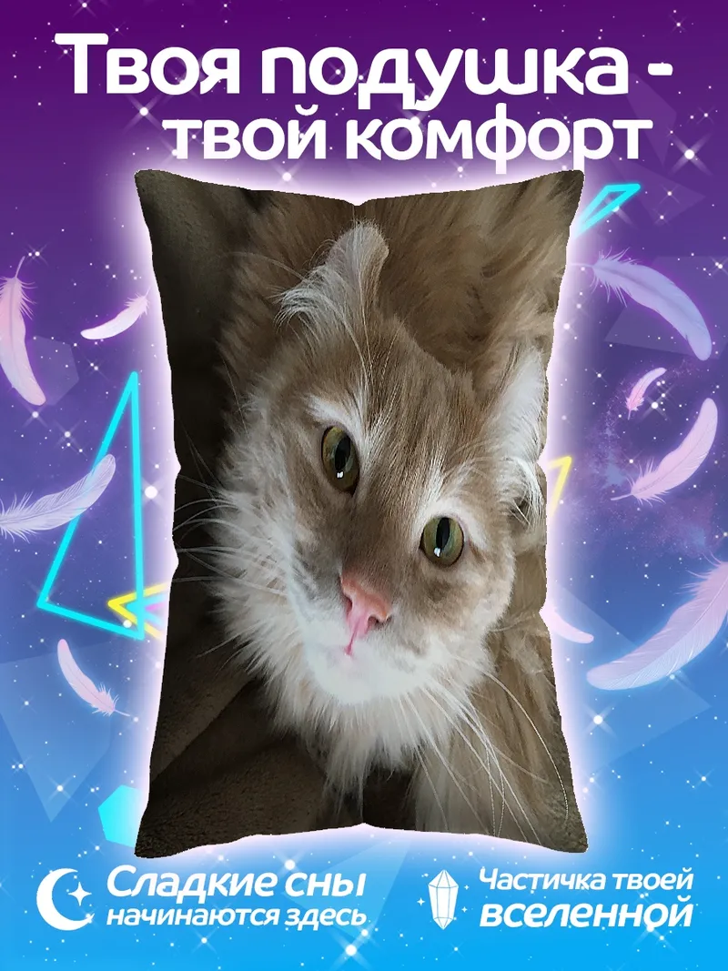 Подушка Рыжий кот смотрит вверх
