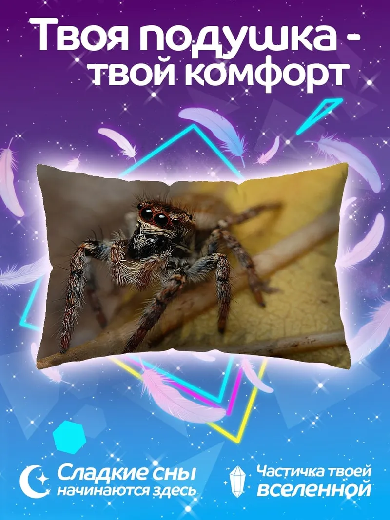 Подушка Паук-скакун крупным планом