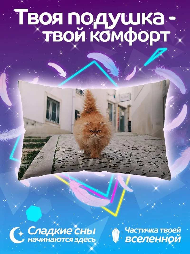 Подушка Рыжий кот идет