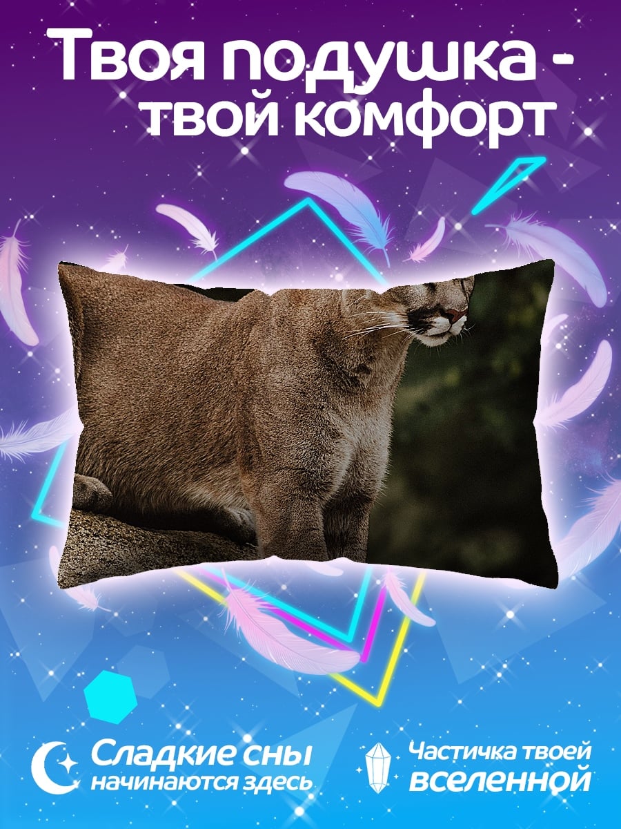 Подушка Пума на камне