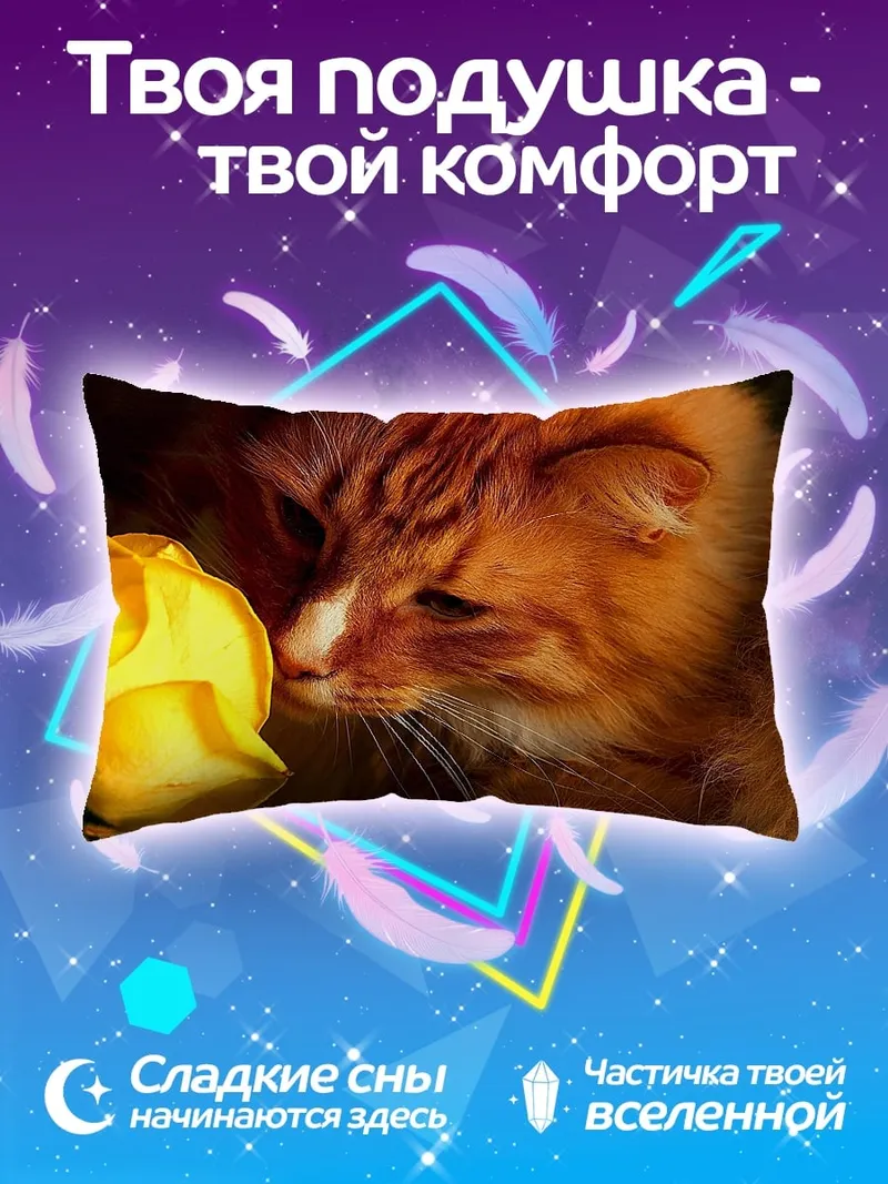 Подушка Рыжий кот и роза
