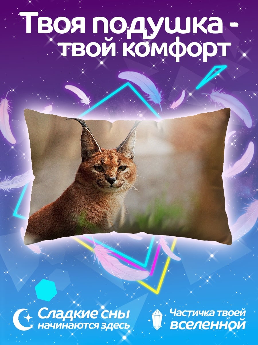 Подушка Рысь в природе