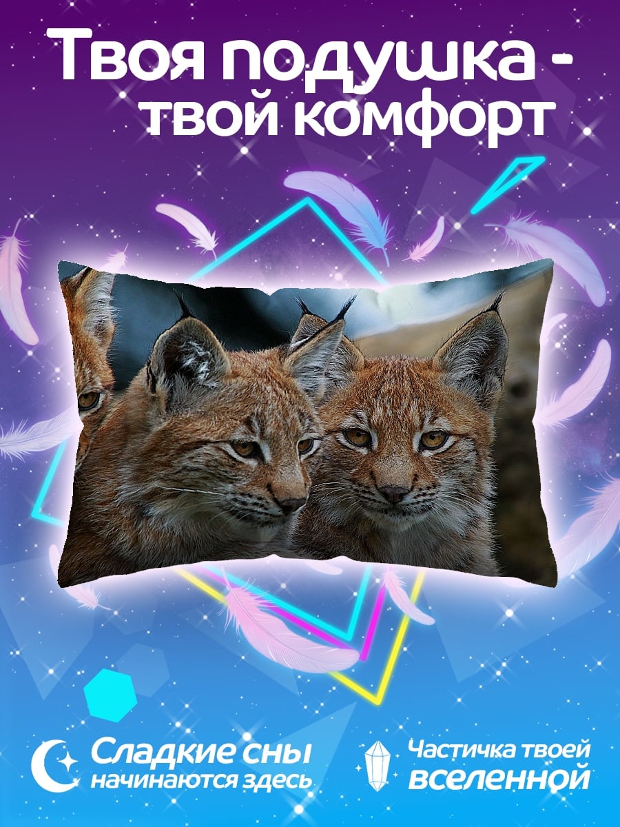Подушка рыси в лесу