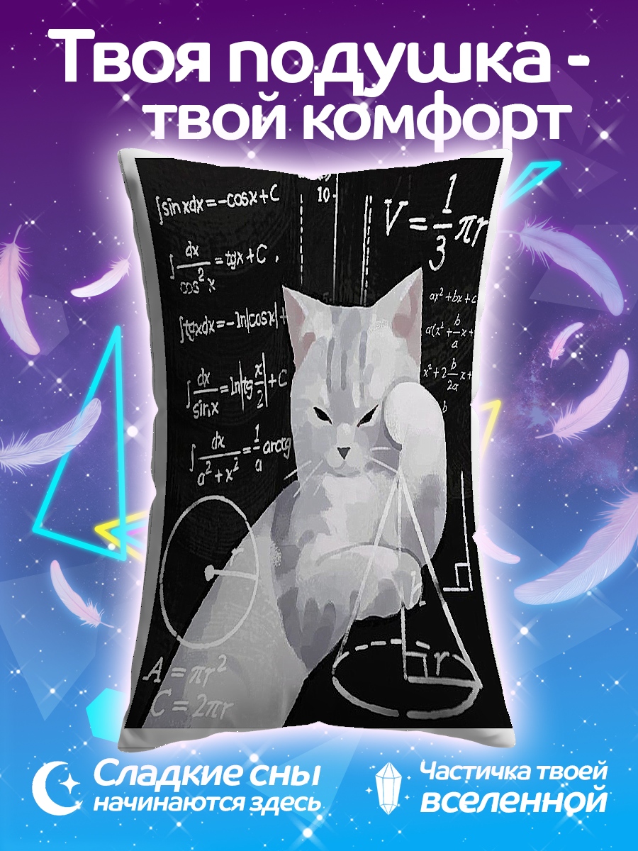 Подушка Кот решает задачу