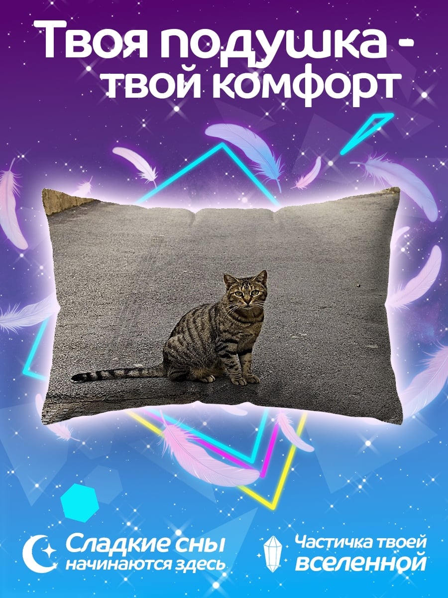 Подушка Кот на дороге