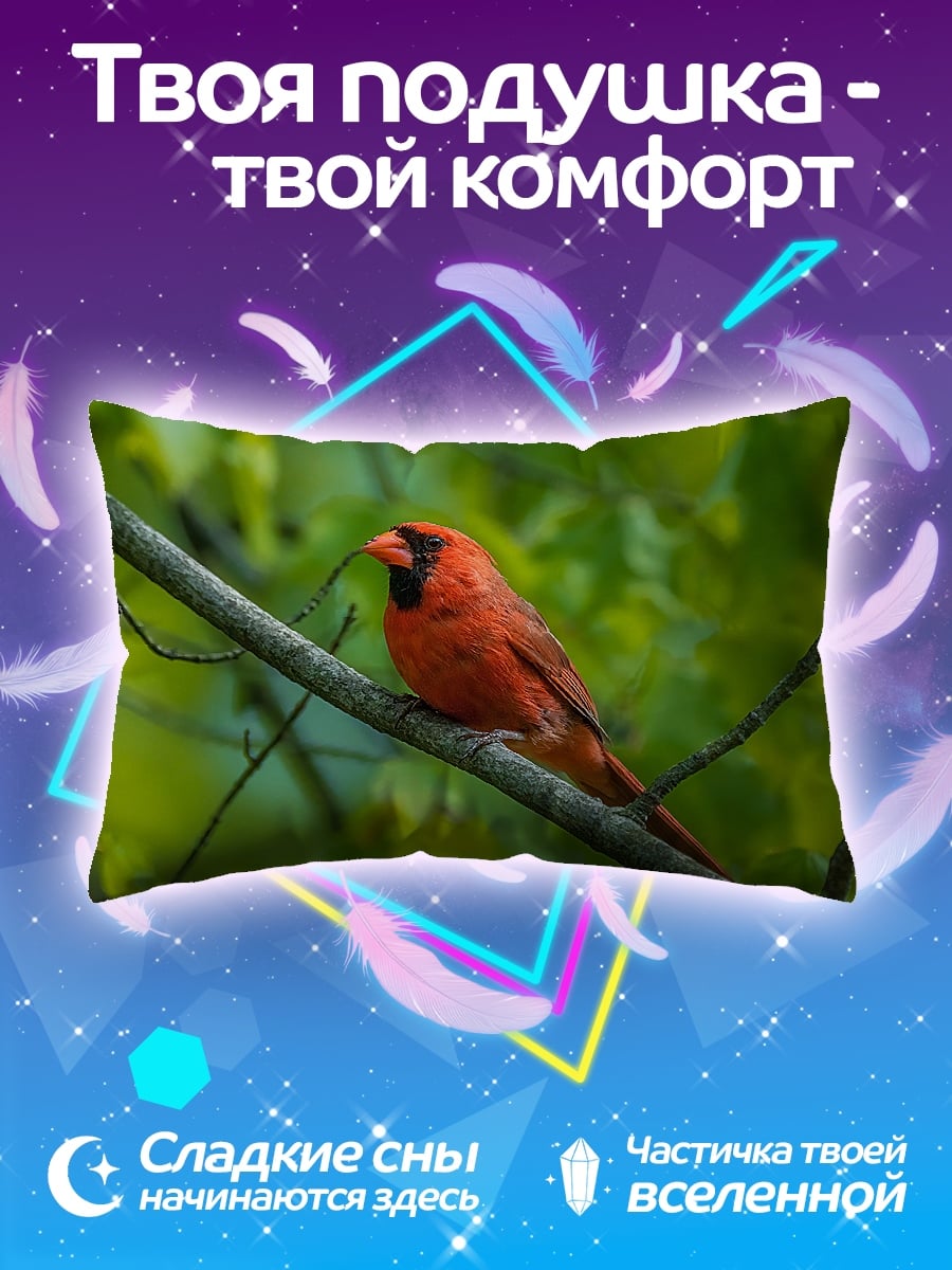 Подушка красный кардинал