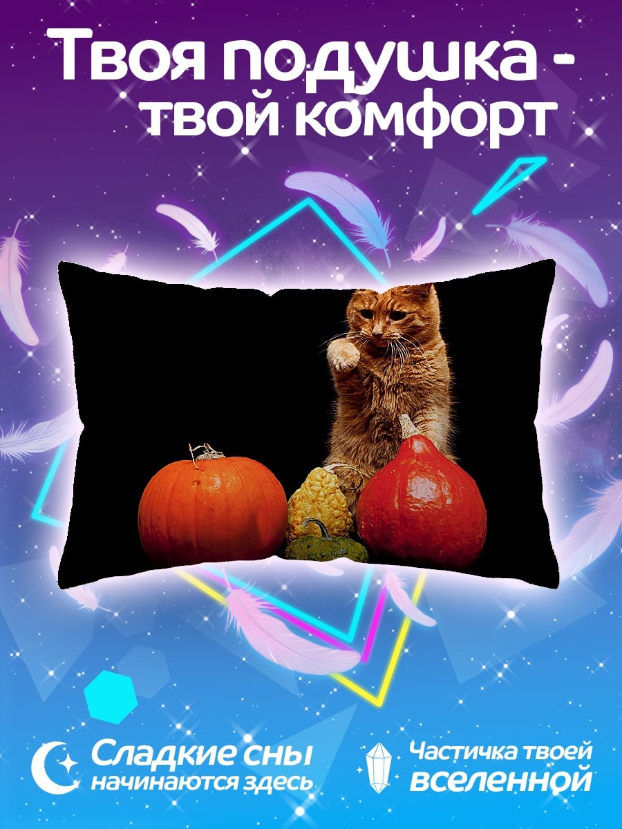 Подушка кот и тыквы