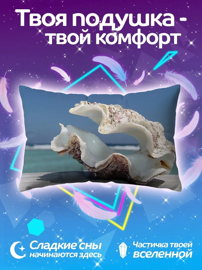 Подушка морская раковина