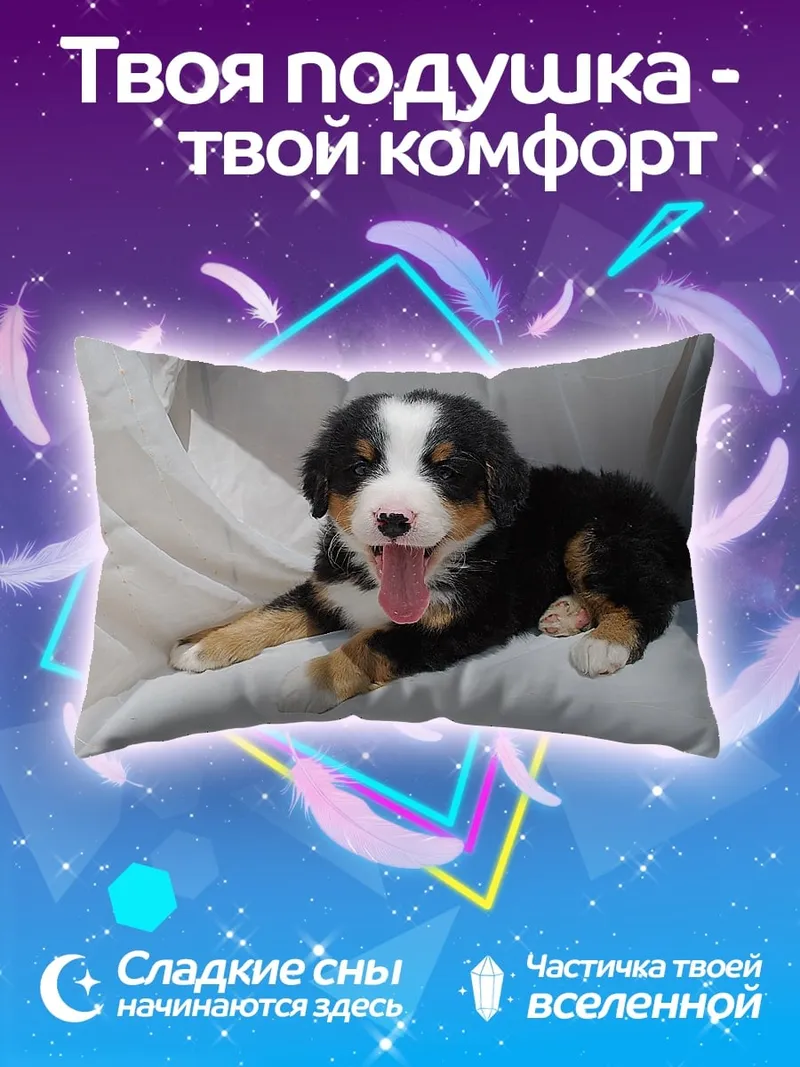 Подушка Щенок бернского зенненхунда