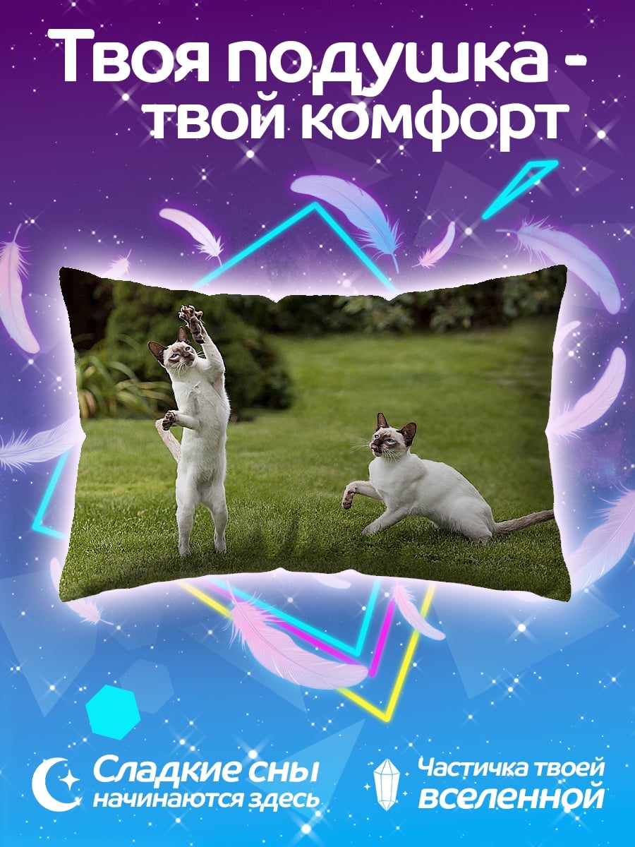Подушка кошки на траве