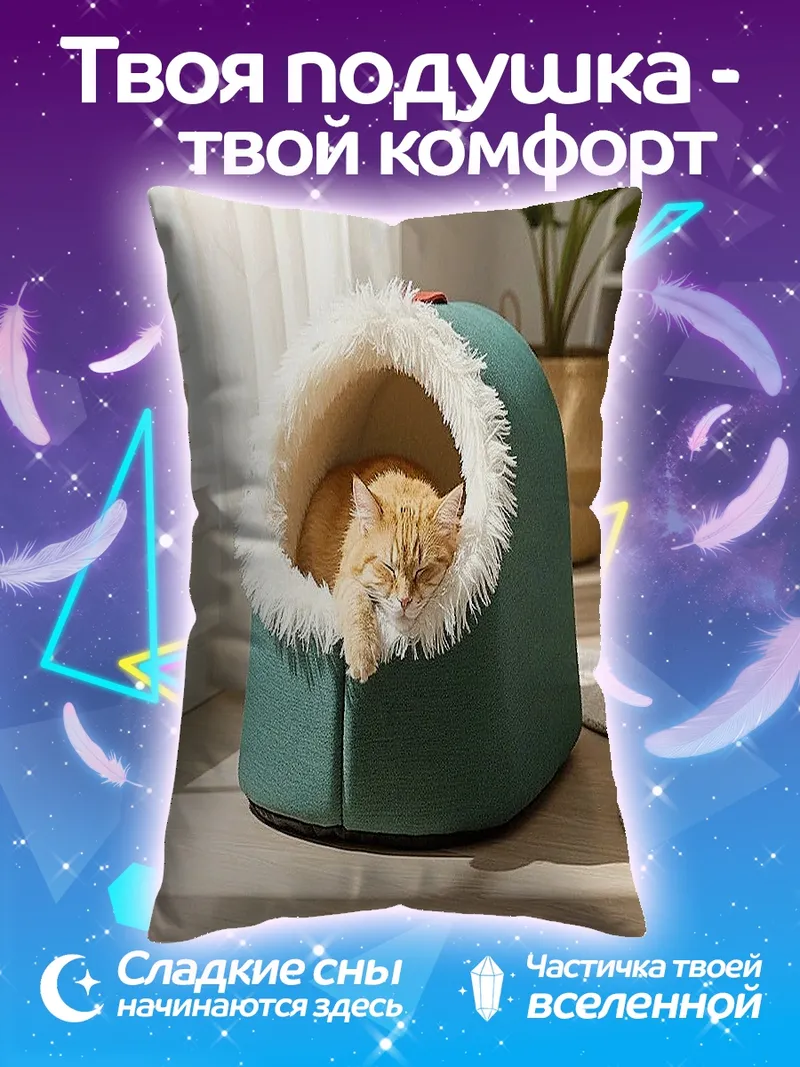 Подушка Рыжий кот в домике