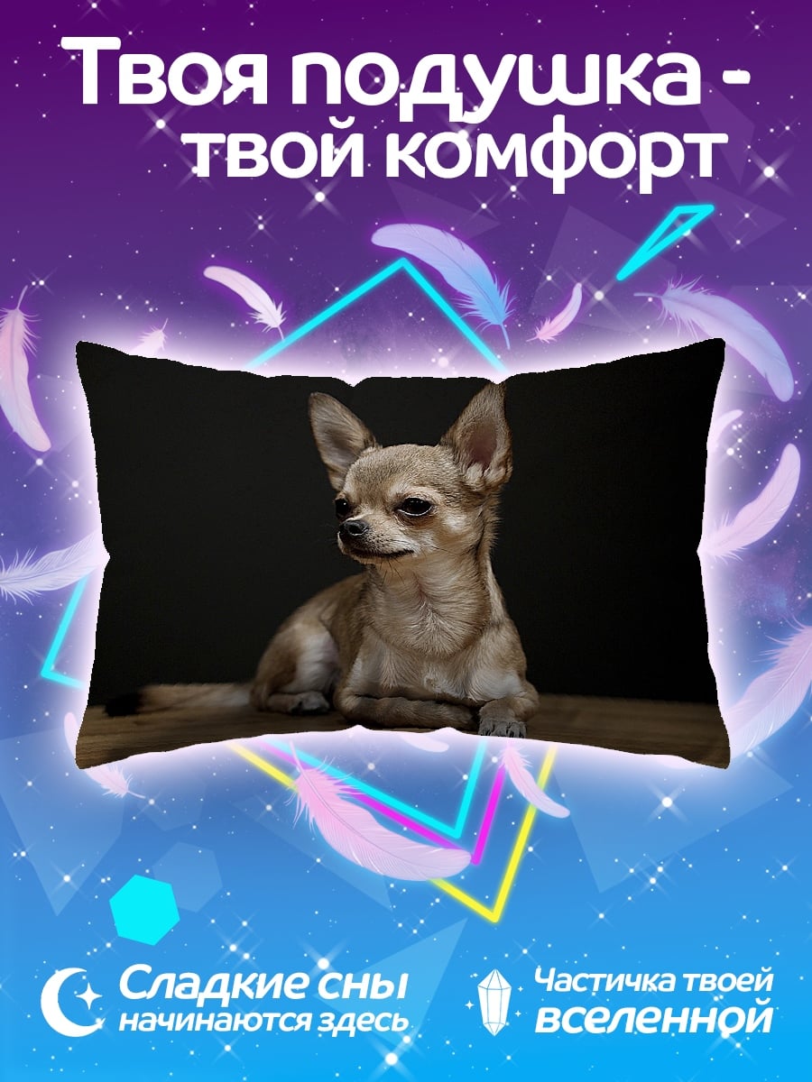 Подушка Чихуахуа на полу